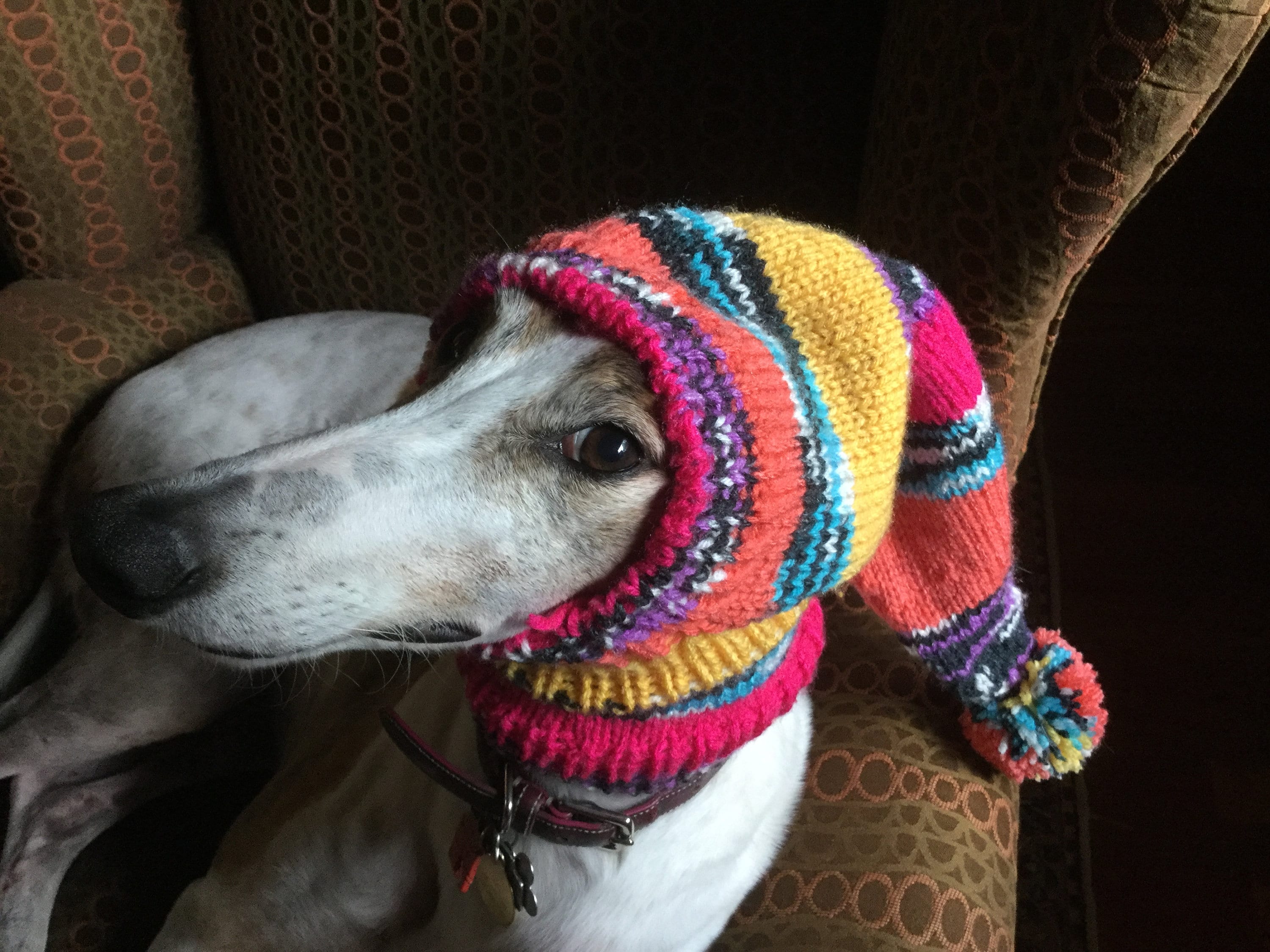 Pointed Hat with Snood for Greyhound Harvest Stripes 9484