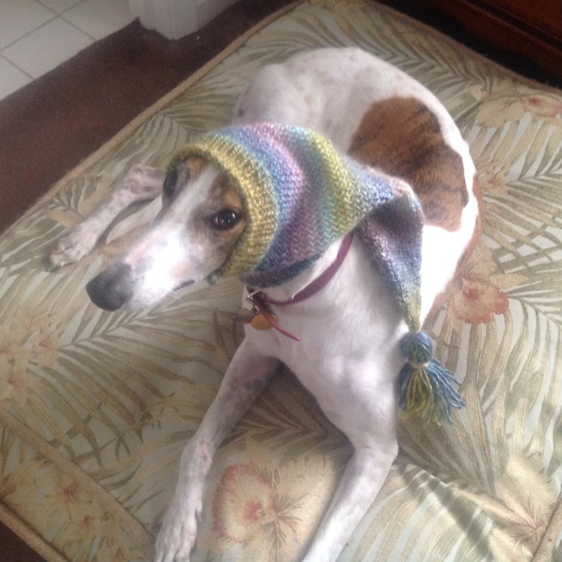 Greyhound hat with snood-watercolors ombre