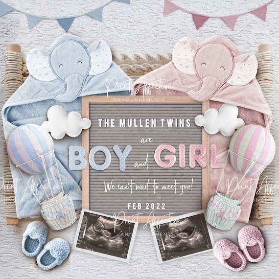 Boy girl twin announcements 2025