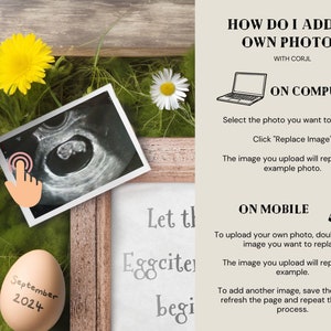 Easter Pregnancy Announcement, Wildflower Daisies, Digital Announcement, Social Media Announcement, Edit with Corjl image 5