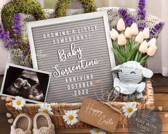 Easter Pregnancy Announcement Digital,  2022 Easter Pregnancy Announcement, Self Editable. Grey Letterboard Easter Basket Design.