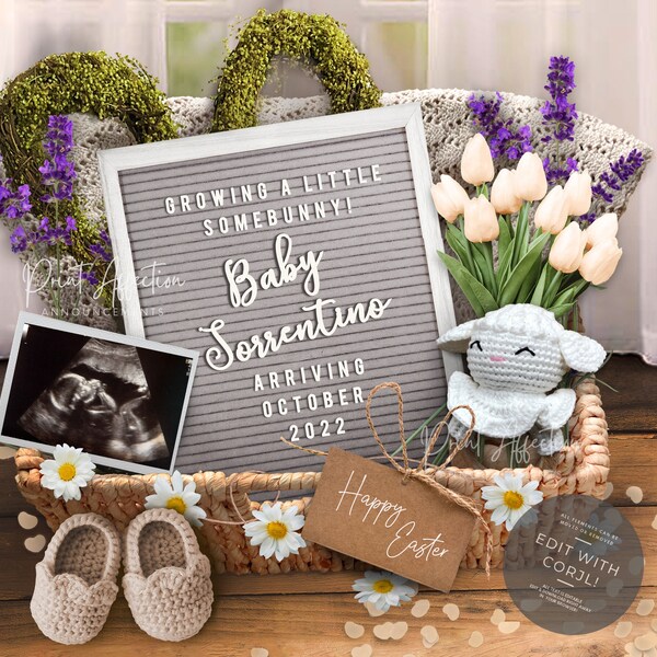 Easter Pregnancy Announcement Digital,  2022 Easter Pregnancy Announcement, Self Editable. Grey Letterboard Easter Basket Design.