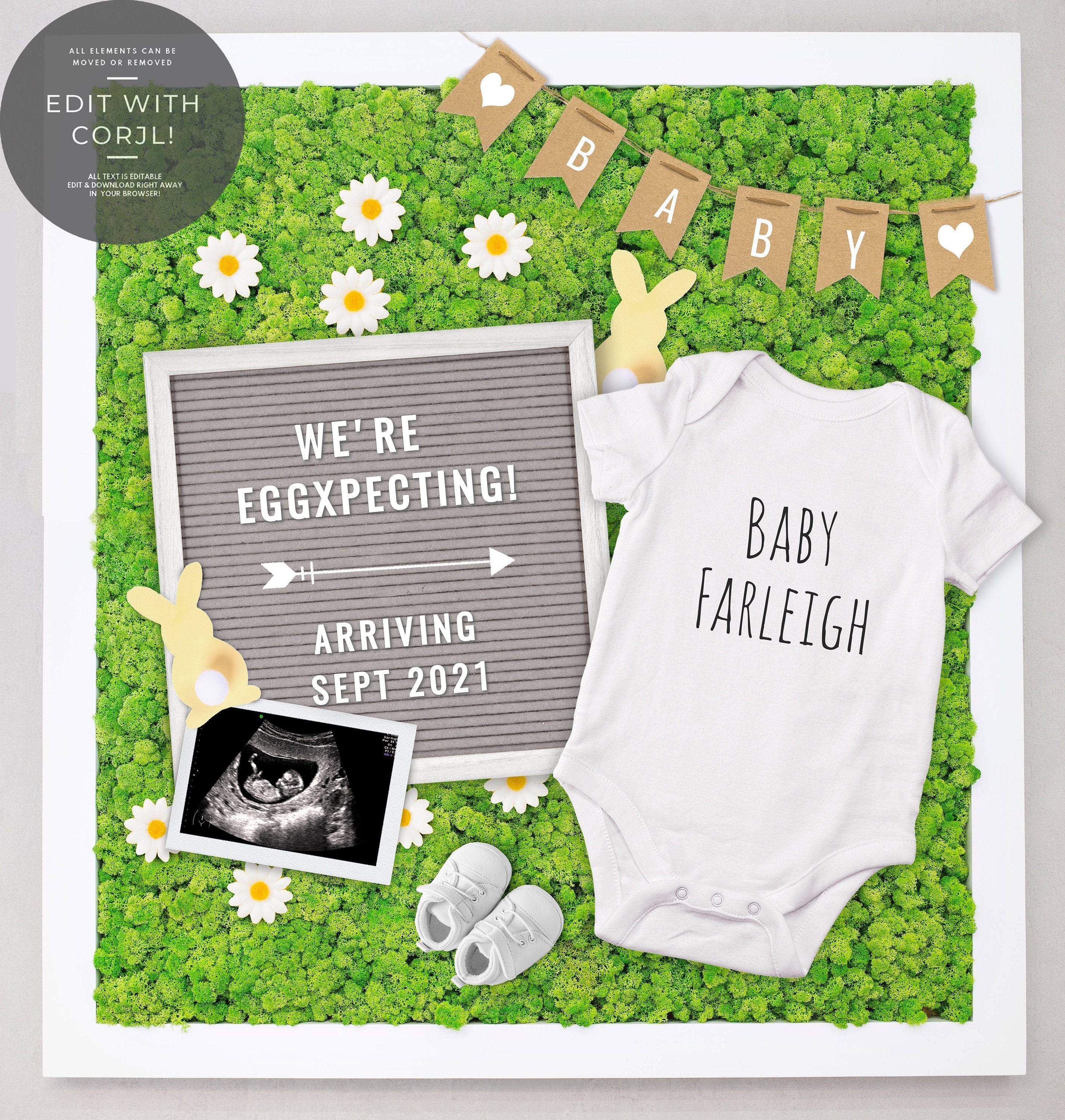 Editable Easter Pregnancy Announcement Digital Pregnancy | Etsy