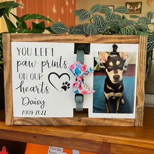 May include: A wooden frame with a white background and black text that reads "You left paw prints on our hearts Daisy 2009-2022". A photo of a brown and black dog is in the frame with a blue and pink floral bow tie.