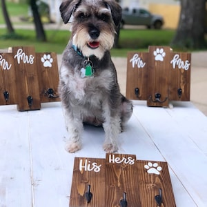Op de afbeelding: Een set van drie houten haken met de woorden "Zijn", "Haar" en een pootafdruk. De haken zijn gemonteerd op een wit oppervlak. Een kleine grijze hond zit voor de haken.