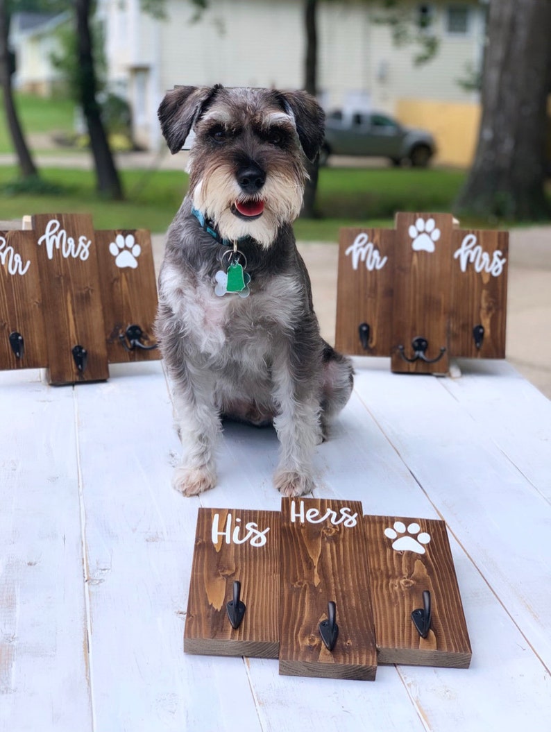 Op de afbeelding: Een set van drie houten haken met de woorden "Zijn", "Haar" en een pootafdruk. De haken zijn gemonteerd op een wit oppervlak. Een kleine grijze hond zit voor de haken.