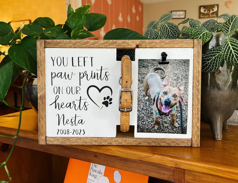 May include: A wooden photo frame with a white background and a black inscription that reads "You left paw prints on our hearts Nesta 2008-2023". A brown leather collar is attached to the frame. A photo of a dog is displayed in the frame.