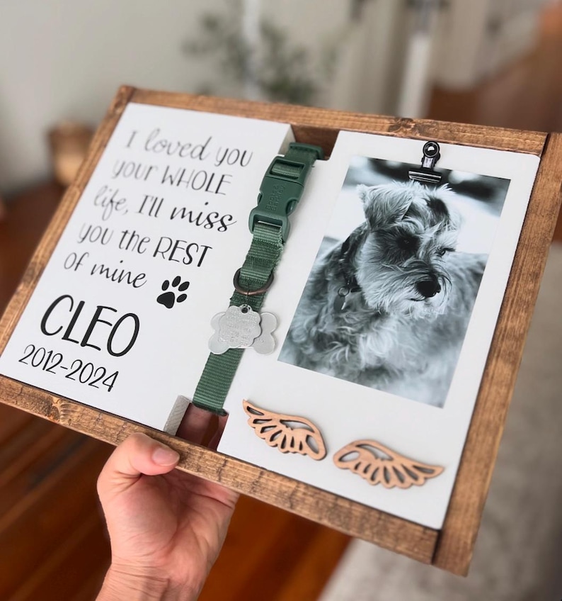 May include: A wooden frame with a white background and a photo of a small dog. The frame has a green dog collar with a silver tag attached. The text "I loved you your WHOLE life, I'll miss you the REST of mine CLEO 2012-2024" is printed on the frame. Two wooden angel wings are attached to the bottom of the frame.