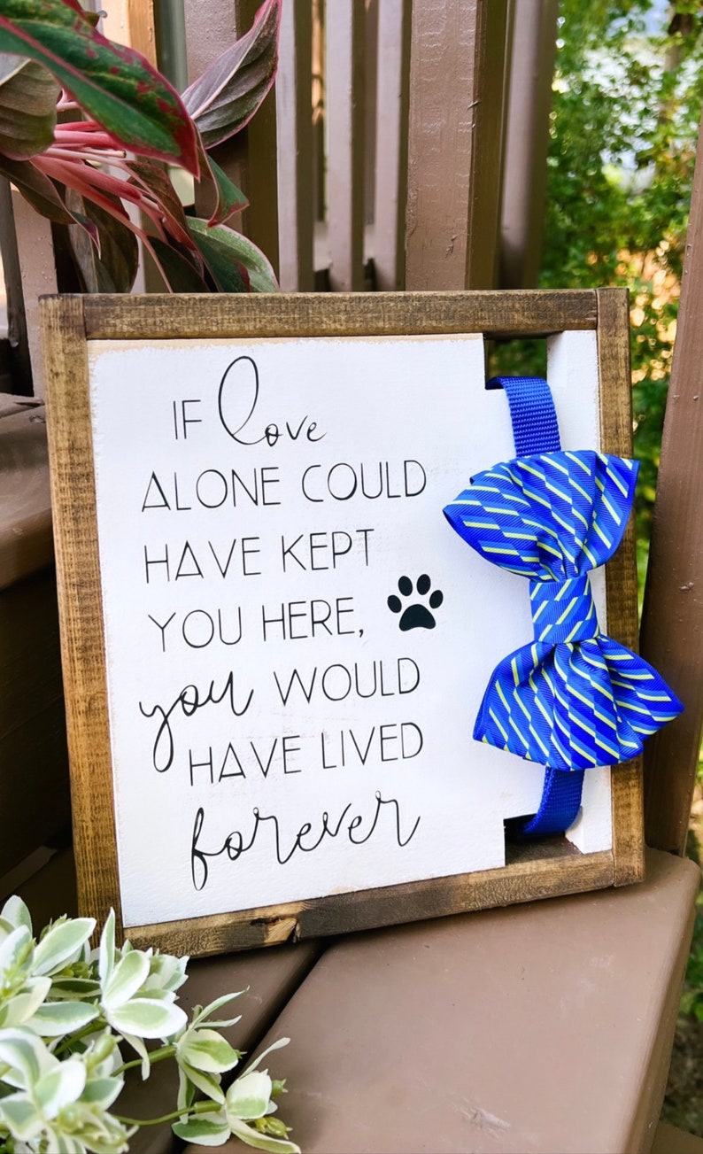Pet Memorial Dog Collar Holder Dog Loss Memorial Frame If Etsy