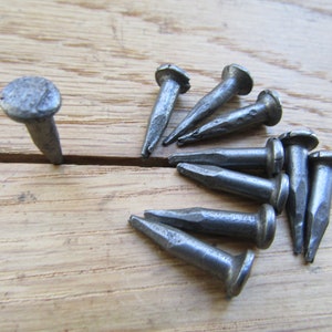 May include: A collection of ten silver-colored metal nails with pointed tips and round heads. The nails are arranged in a fan shape on a wooden surface.
