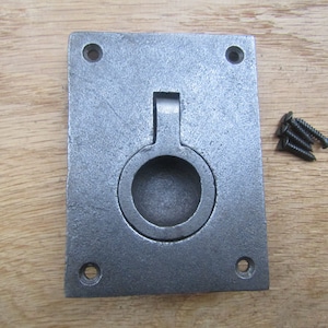 May include: A silver metal rectangular cabinet pull with a round recessed handle. The pull comes with four screws.