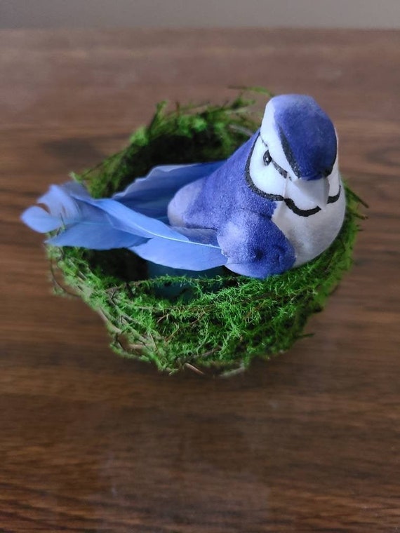 Natural Green Moss Small Blue Jay Nest With 3 Eggs Etsy