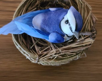 Blue Jay Nest Etsy Blue Jay Nest Etsy