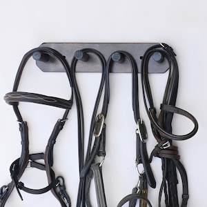 Horse Bridle and Halter Rack - Walnut Stain