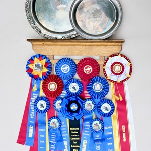 Horse Show Ribbon & Award Plate Wall Display With Shelf (Golden Oak Stained Wood)