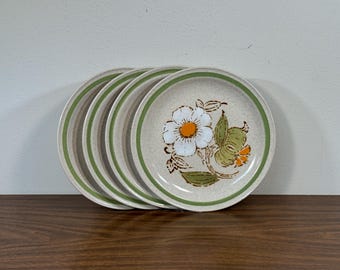 Vintage Statastone International China Shasta Pattern