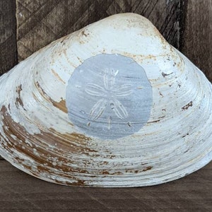 Sand Dollar, Laser etched, Hand Painted Seashell, Sea Shell, Clam Shell, Beach Decor, Shell Art,