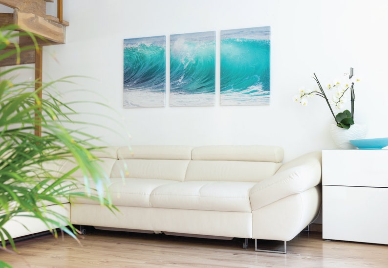 May include: A white leather sofa with a white wall behind it. There is a three-piece canvas print of a blue ocean wave on the wall. A potted plant is in the foreground.