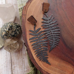 May include: A pair of earrings featuring a fern leaf design made from black metal. The earrings are attached to small wooden posts.