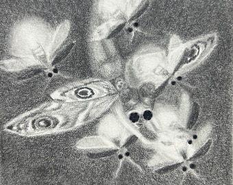 The Goth Moth