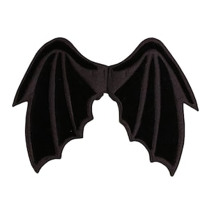 Custom Dragon wings