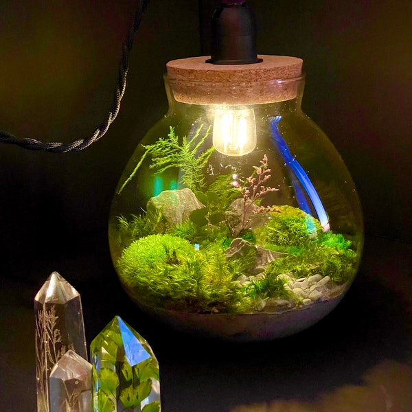 Moss Terrarium Table Lamp; No Maintenance Globe Terrarium (Night) Light with Preserved Moss (not live moss!); Comes assembled