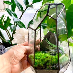 Moss Terrarium Complete & Maintenance Free DYI Geometric Terrarium Kit with Preserved Moss so not live moss and optional Tiny Buddha image 8