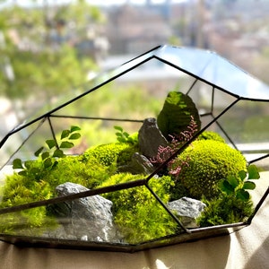 Moss Terrarium Zen Garden with Preserved Moss (so not live!); NEW model!Comes as DYI Kit or Ready Made