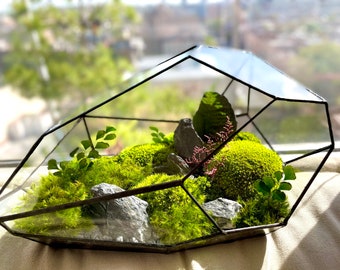 Moss Terrarium Zen Garden with Preserved Moss (so not live!); NEW model!Comes as DYI Kit or Ready Made