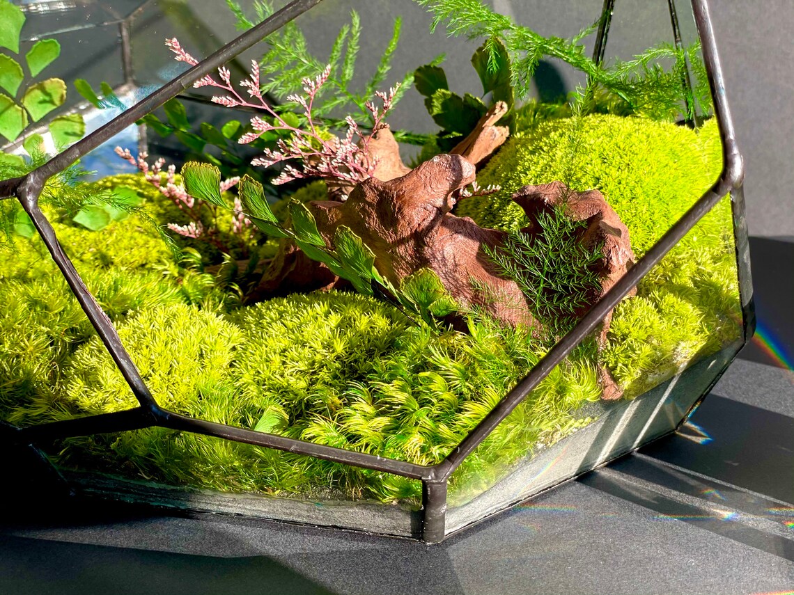 Moss Terrarium Zen Garden with Preserved Moss so not live Etsy