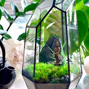 Moss Terrarium Complete & Maintenance Free DYI Geometric Terrarium Kit with Preserved Moss so not live moss and optional Tiny Buddha image 7