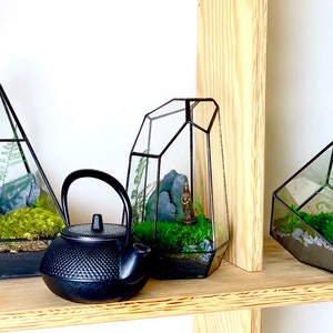 Moss Terrarium Complete & Maintenance Free DYI Geometric Terrarium Kit with Preserved Moss so not live moss and optional Tiny Buddha image 9