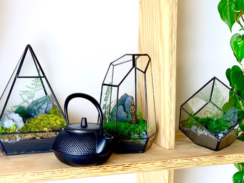 Moss Terrarium Complete & Maintenance Free DYI Geometric Terrarium Kit with Preserved Moss so not live moss and optional Tiny Buddha image 9