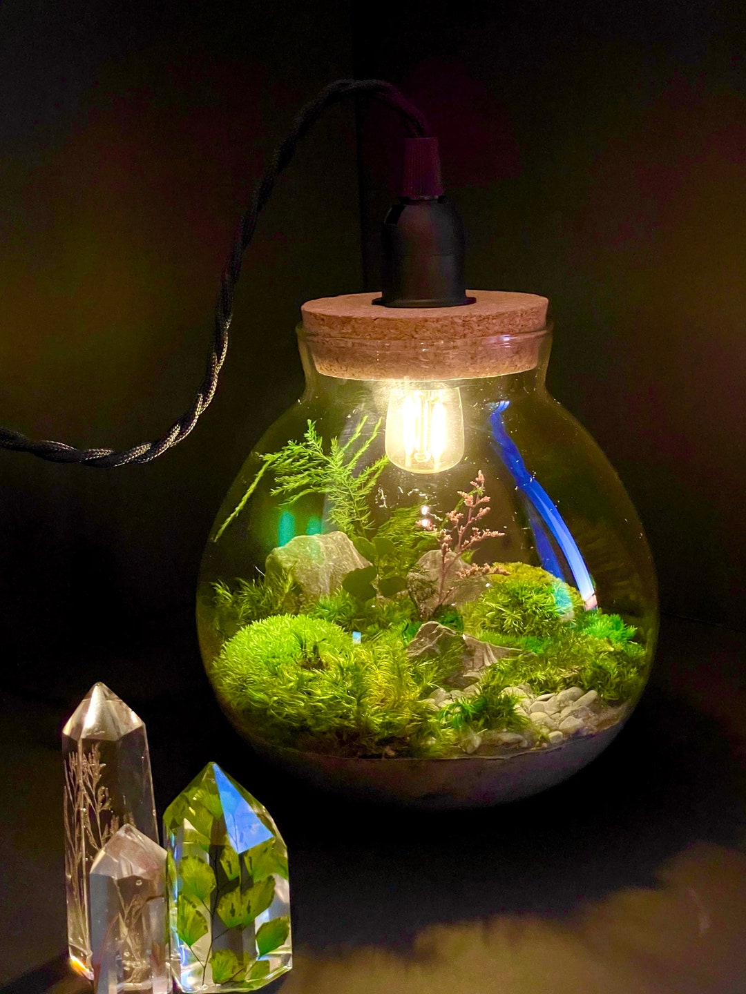 Moss Terrarium Table Lamp; No Maintenance Globe Terrarium (night
