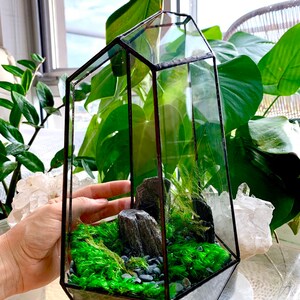 Moss Terrarium Complete & Maintenance Free DYI Geometric Terrarium Kit with Preserved Moss so not live moss and optional Tiny Buddha image 4