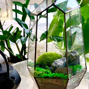 Terrarium Kit 