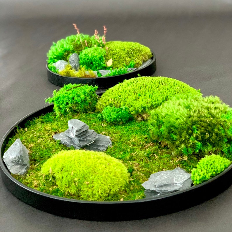 Moss Art Zen Garden Set with Slate Rock Pressed Flowers and Etsy
