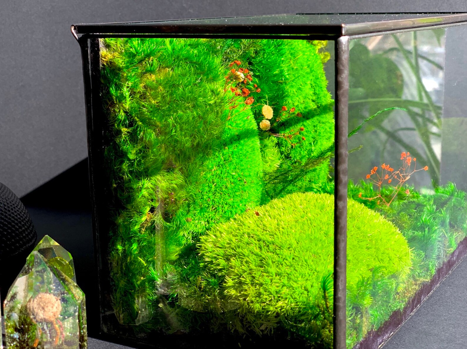Preserved Moss Terrarium With Pressed Flowers and Ferns and Etsy