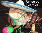 Mexican Fiesta Costume for Bearded Dragons, Reptiles, and Small Animals Three Sizes available