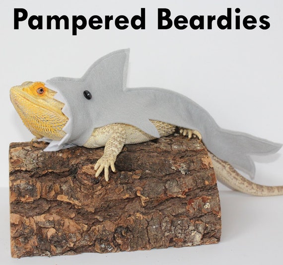Shark Costume For Bearded Dragons And Other Reptiles Now In 3 Etsy