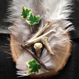 Bird Skull, Raven Hair Clip, Bones and Feather, Woodland, Winter Forest Hair Accessory, Gothic, Lolita, Rockabilly, Pagan, Witch, Wicca