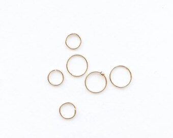 Endless Lil Hoops // 14k Gold Fill Hoop Earrings