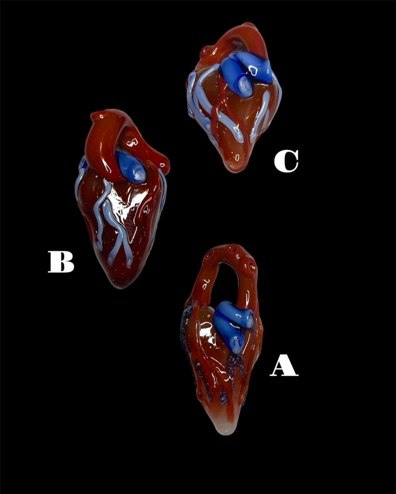 Anatomical heart pendant Lampwork Glass boro bead or pendant by Shawn Tucker Oregon Made Functional Glass image 1