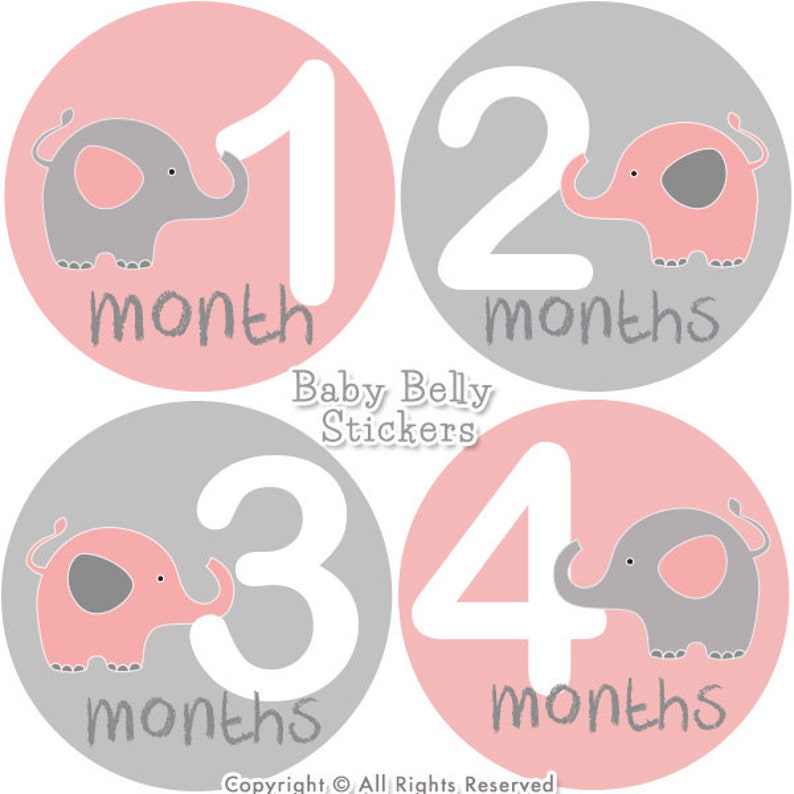 Baby Month Stickers Baby Belly Stickers Monthly Milestone Stickers Monthly Baby Stickers Baby Monthly Stickers Bodysuit Stickers