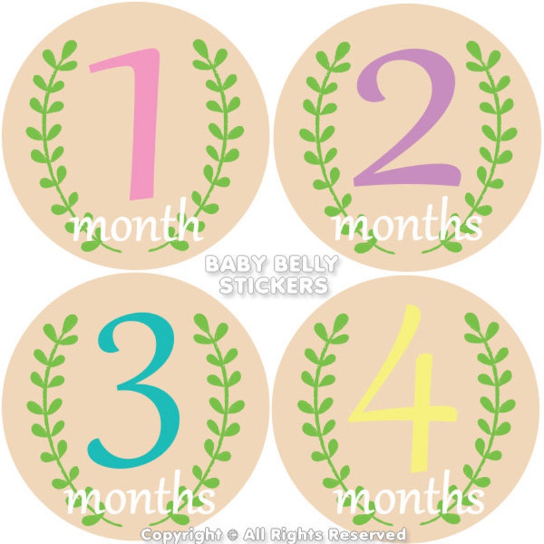 Baby Monthly Stickers Baby Month Stickers Baby Belly Stickers Monthly Milestone Stickers Monthly Baby Stickers Floral Garden Girl