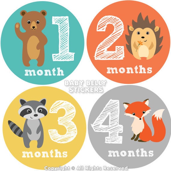 baby month stickers monthly baby stickers monthly milestone etsy