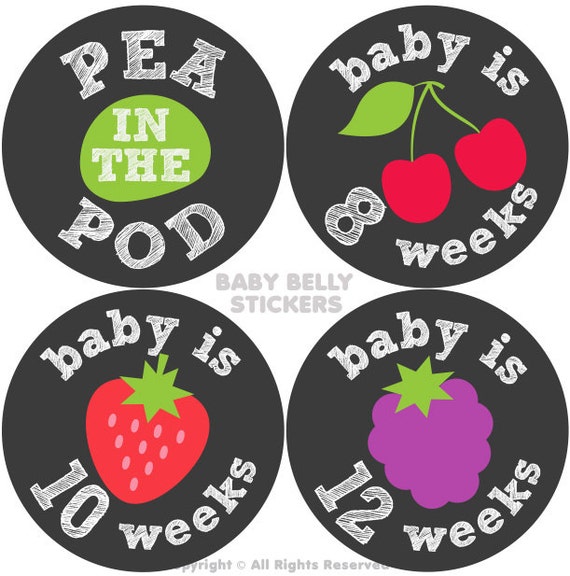 Pregnancy Stickers Maternity Stickers Bi-Weekly Pregnancy | Etsy