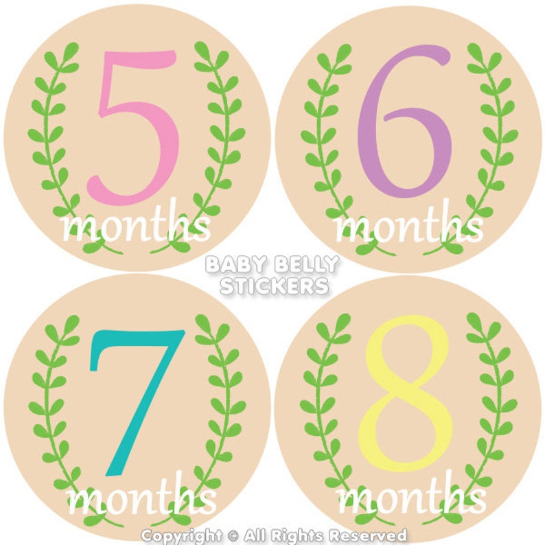 Baby Monthly Stickers Baby Month Stickers Baby Belly Stickers Monthly Milestone Stickers Monthly Baby Stickers Floral Garden Girl