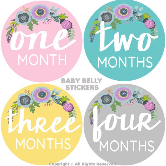 baby month stickers girl