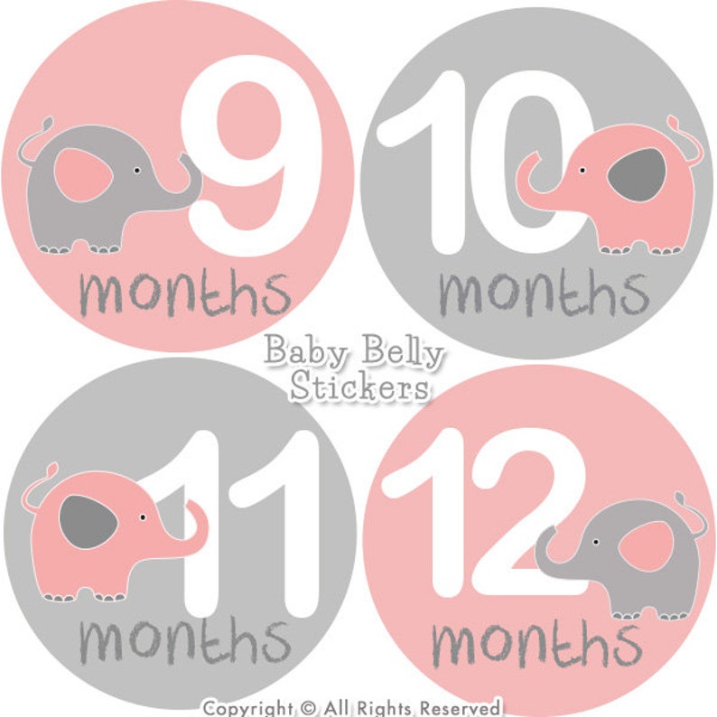 Baby Month Stickers Baby Belly Stickers Monthly Milestone Stickers Monthly Baby Stickers Baby Monthly Stickers Bodysuit Stickers